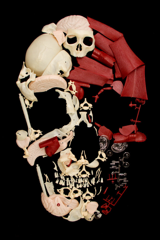 Noah Scalin Visible Skull