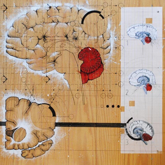 Federico Carbajal Anatomical Drawing Brain