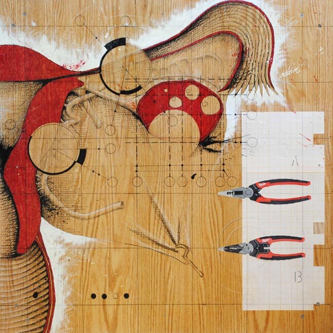 Federico Carbajal Anatomical Drawing Uterus