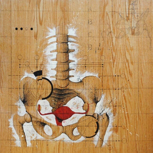 Federico Carbajal Anatomical Drawing Uterus