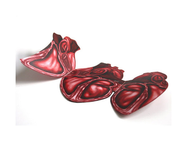 Daphne van der Zanden anatomical heart card (3)
