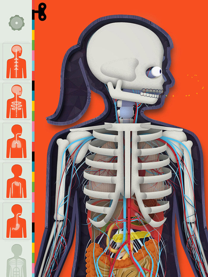 Tinybop Human Body app (5)