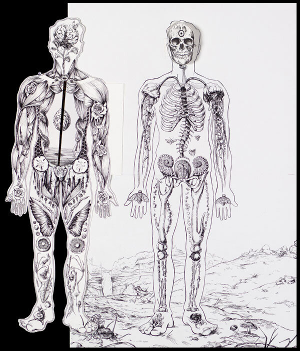 Sara Suppan Human Anatomical Manikin (5)