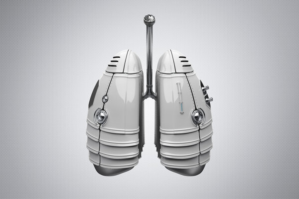 Viaframe lung armor