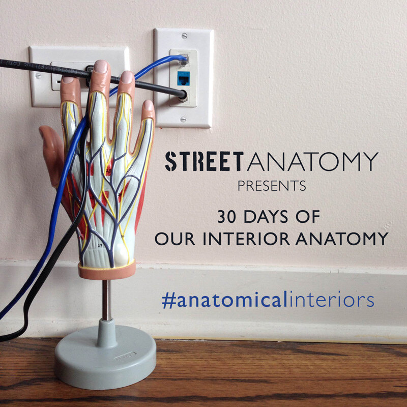 Street Anatomy anatomical interiors day 1