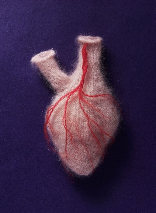 Sarah Illenberger Wool Organs Heart