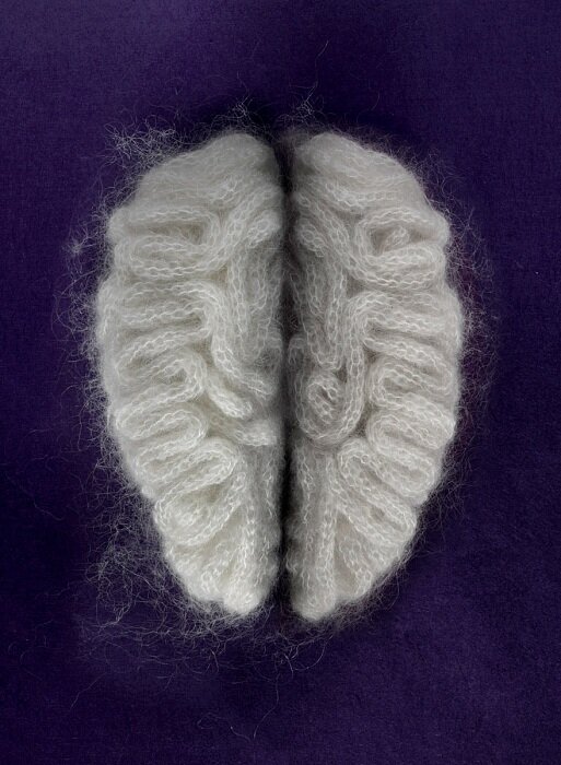 Sarah Illenberger Wool Organs Brain