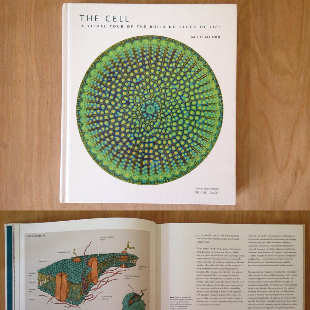 The Cell Jack Challoner with illustrations by Vivian Martineau