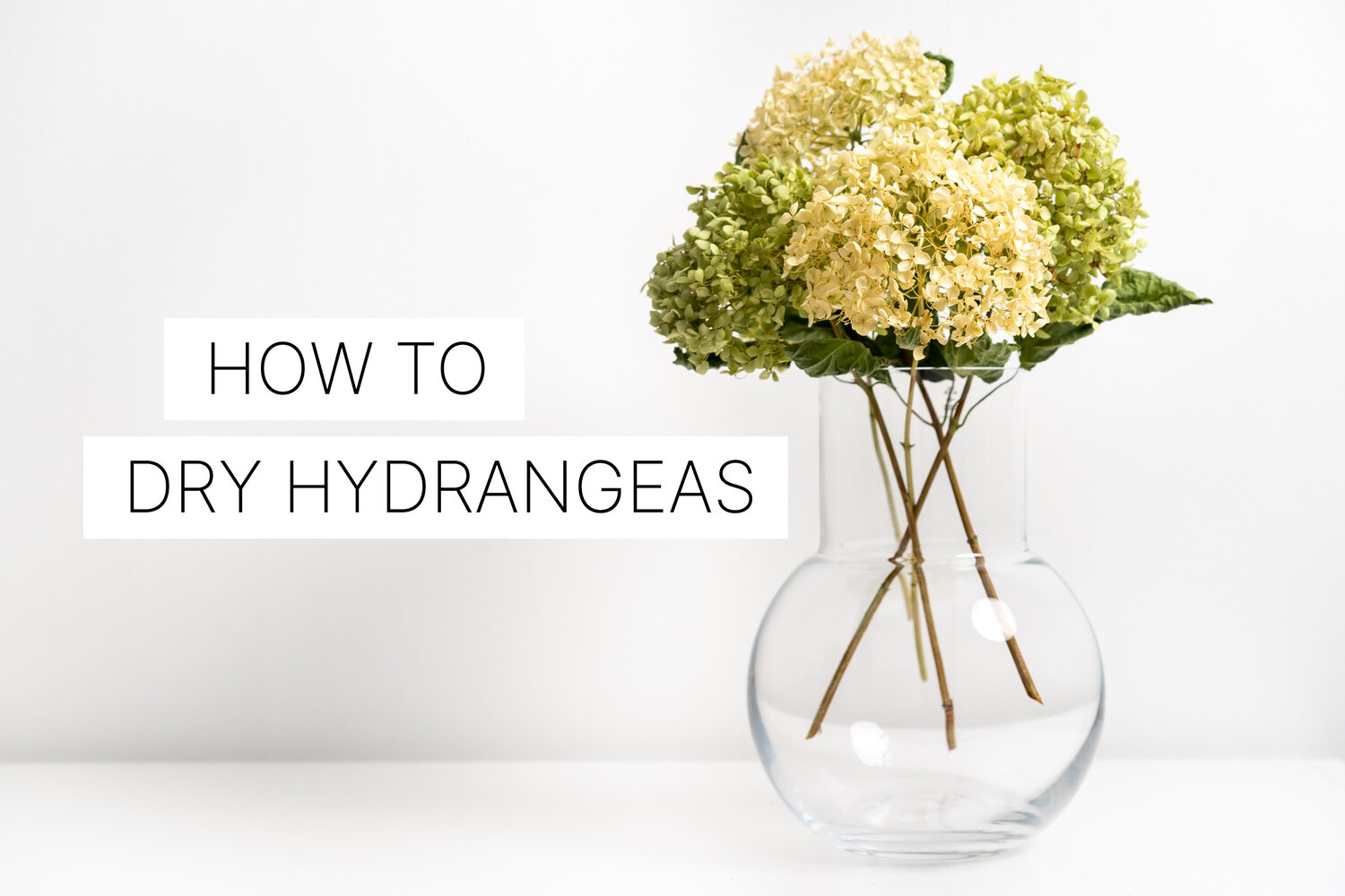 How to dry hydrangeas — Benita Larsson