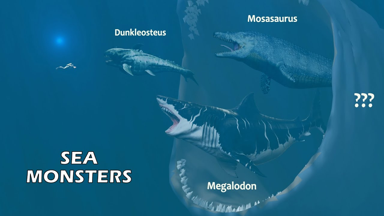 Sea Monsters Size Comparison. The Largest Sea Animals, Living and  Prehistoric