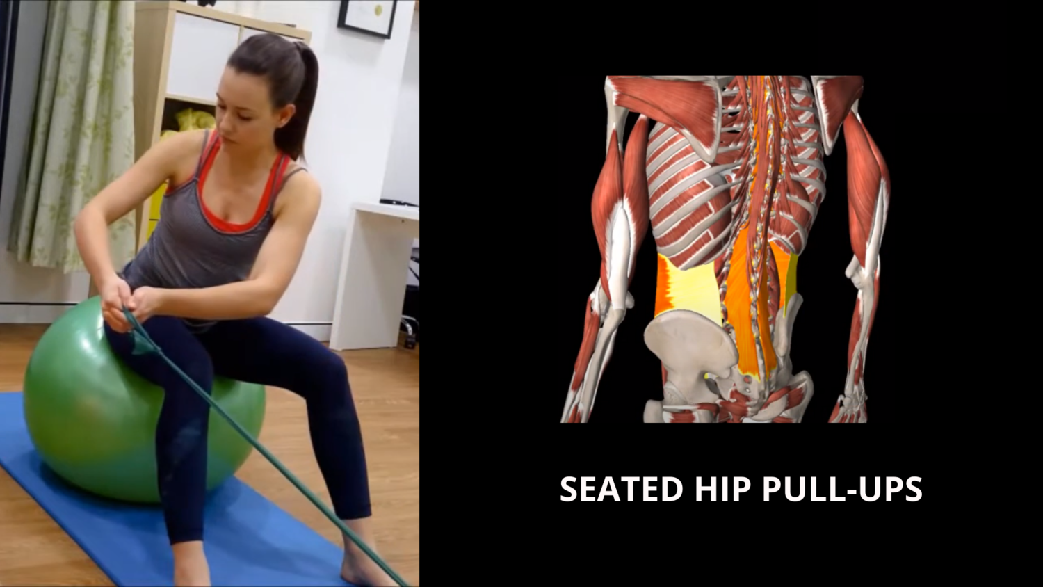 Seated hip pull-ups — Sydney Health Physiotherapy
