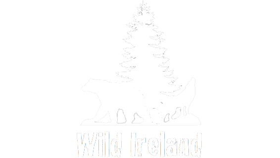 www.wildireland.org