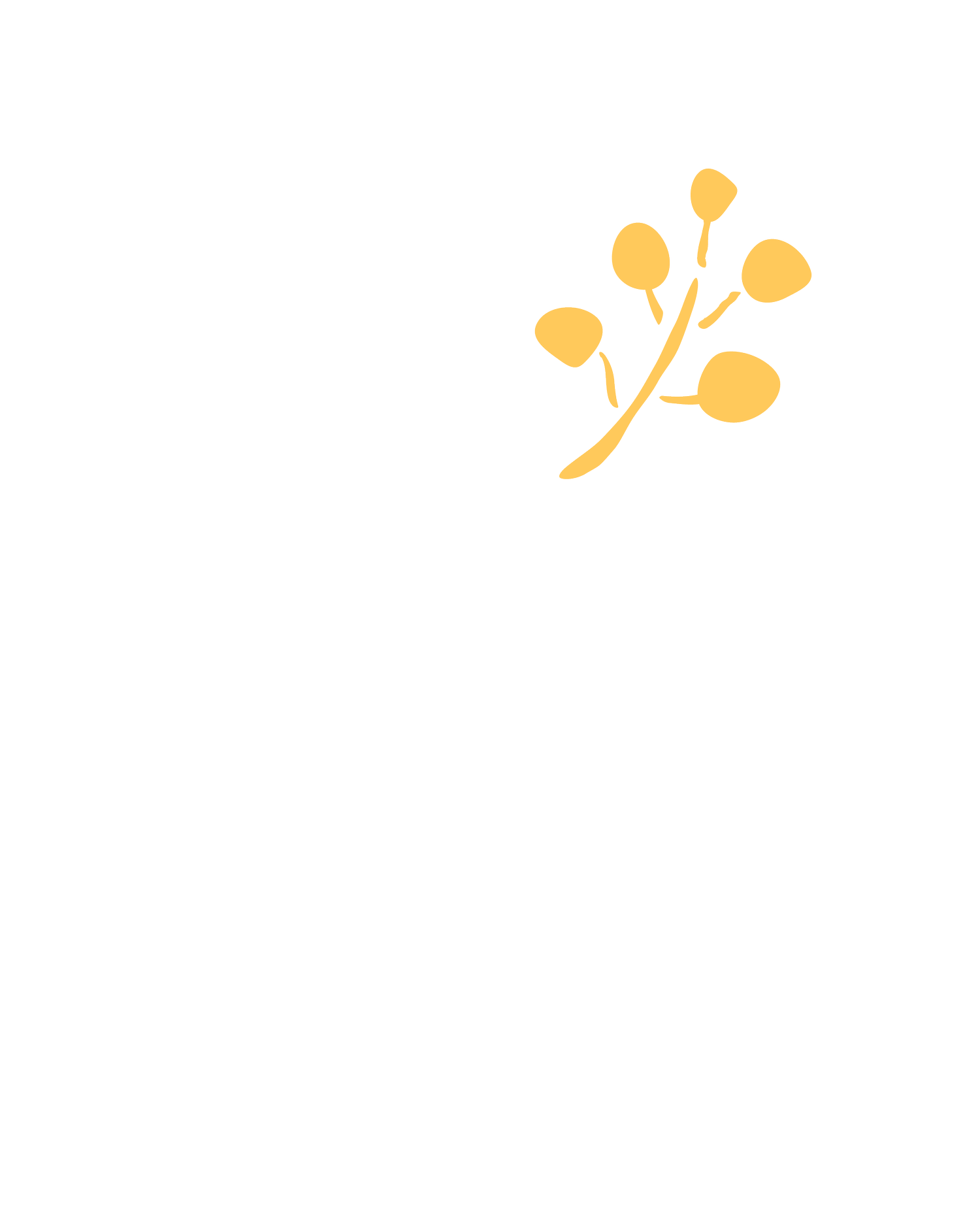 Youth Psychologist Wollongong | The Wattle Tree Clinic