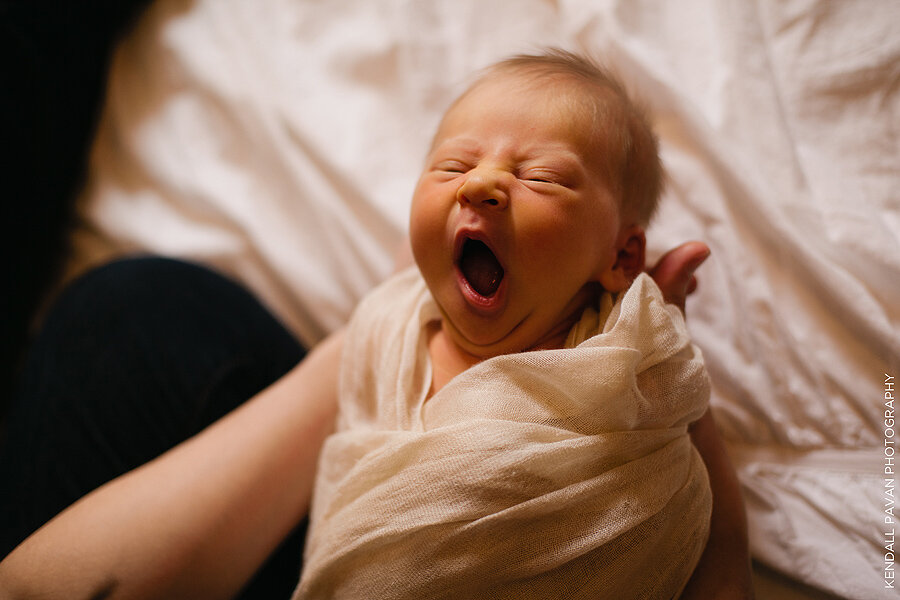 Kendall Pavan Photography newborn baby photography denver colorado marlowe 009