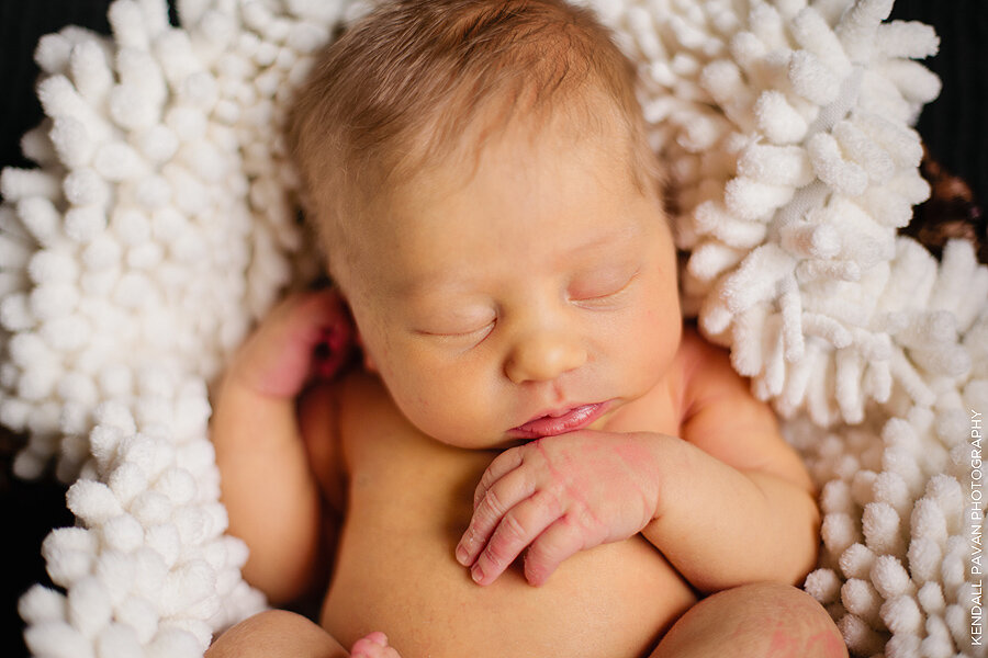 Kendall Pavan Photography newborn baby photography denver colorado marlowe 029