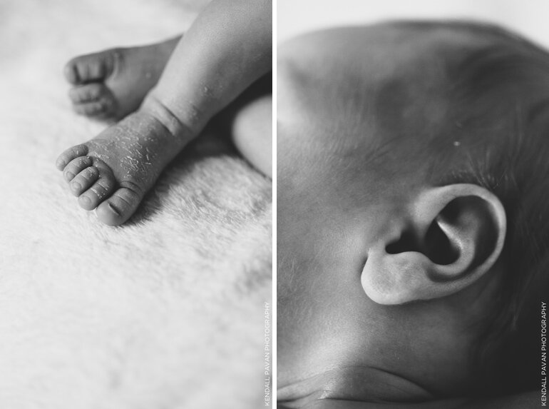 007 chloe newborn session | boston natural light newborn | kendall pavan photography | denver colorado
