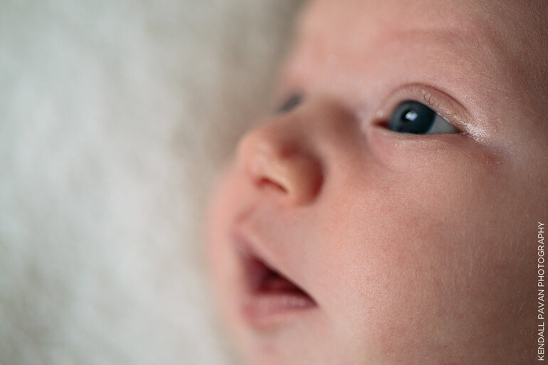 011 chloe newborn session | boston natural light newborn | kendall pavan photography | denver colorado