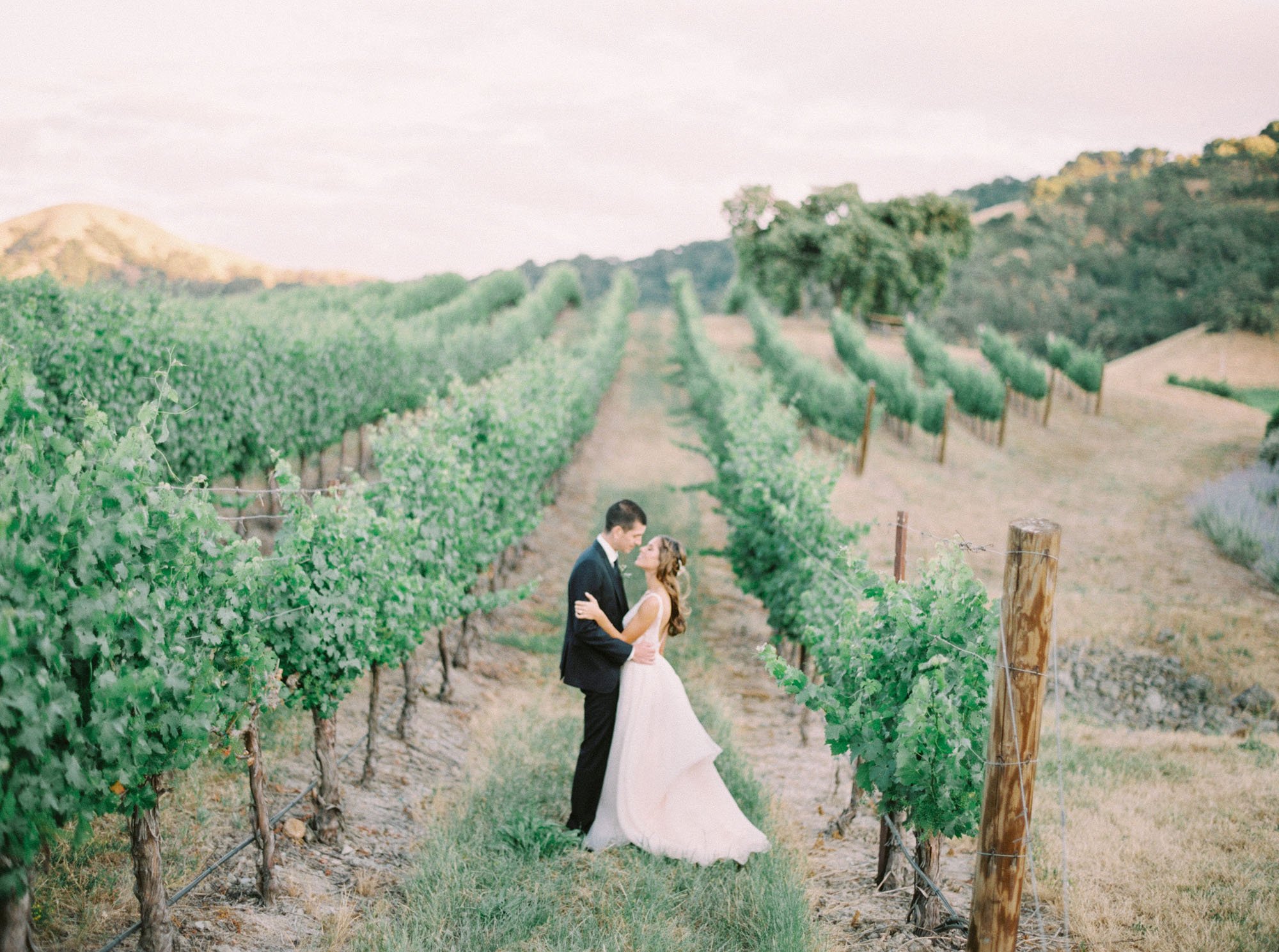This Love of Yours Photography vineyard wedding Northern California
