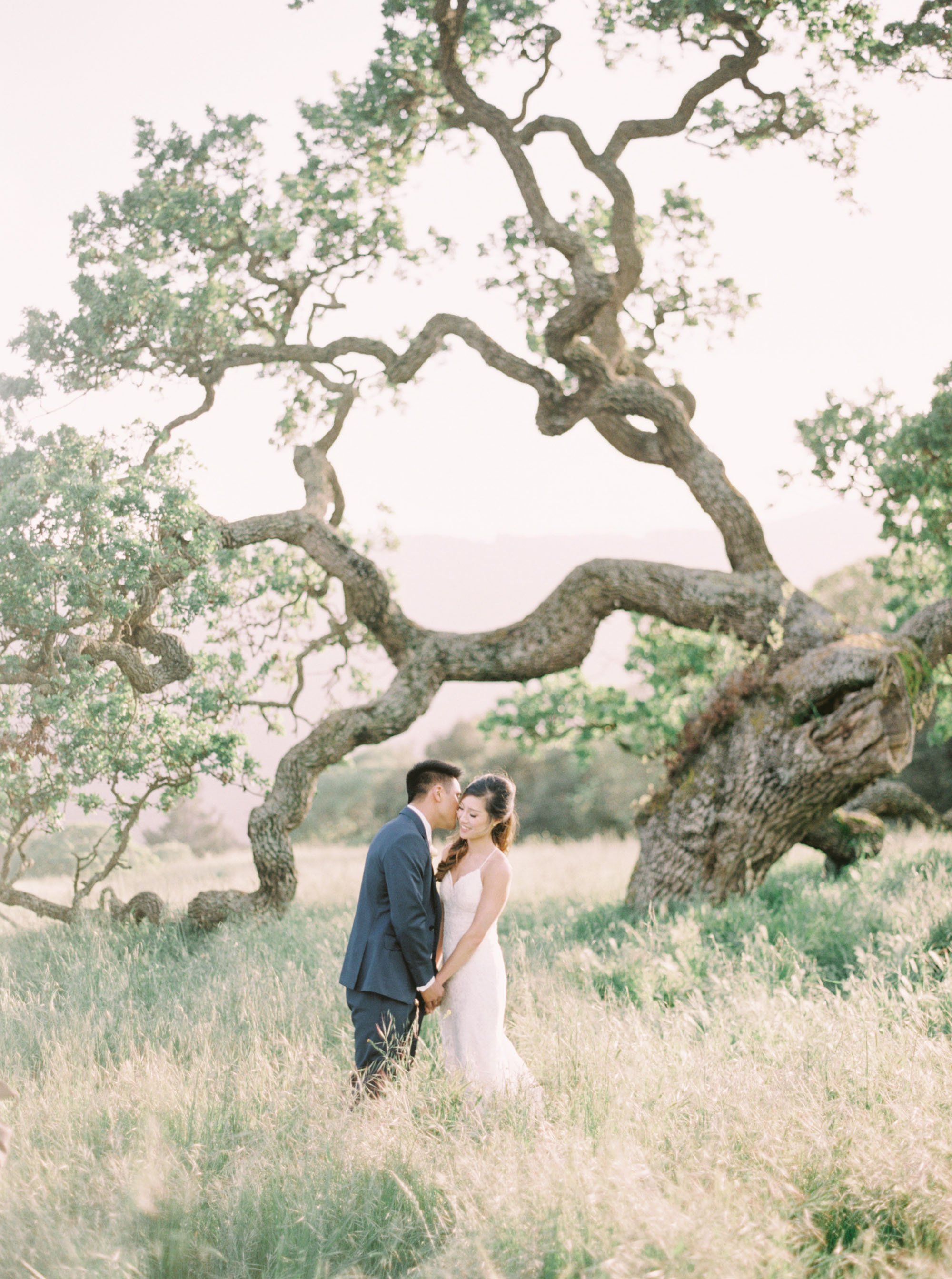 Holman Ranch Wedding This Love of Yours Photography California oak tree