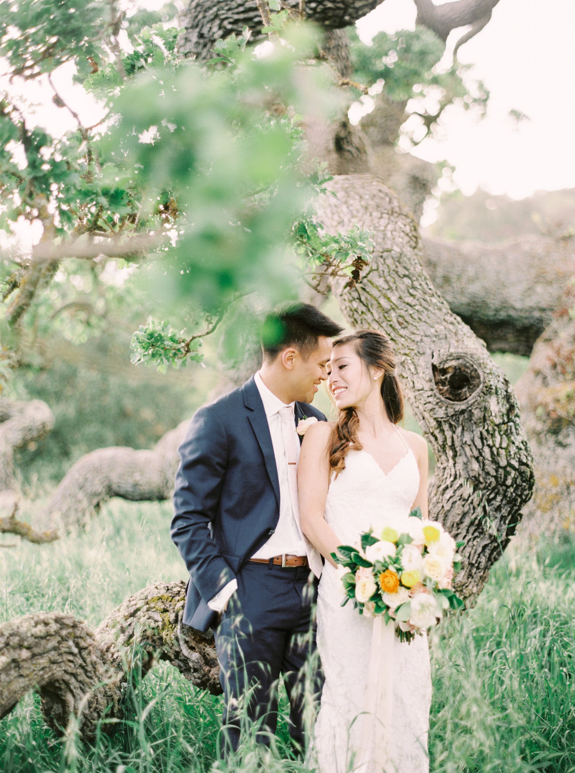 Holman Ranch Wedding This Love of Yours Photography sunset oak tree
