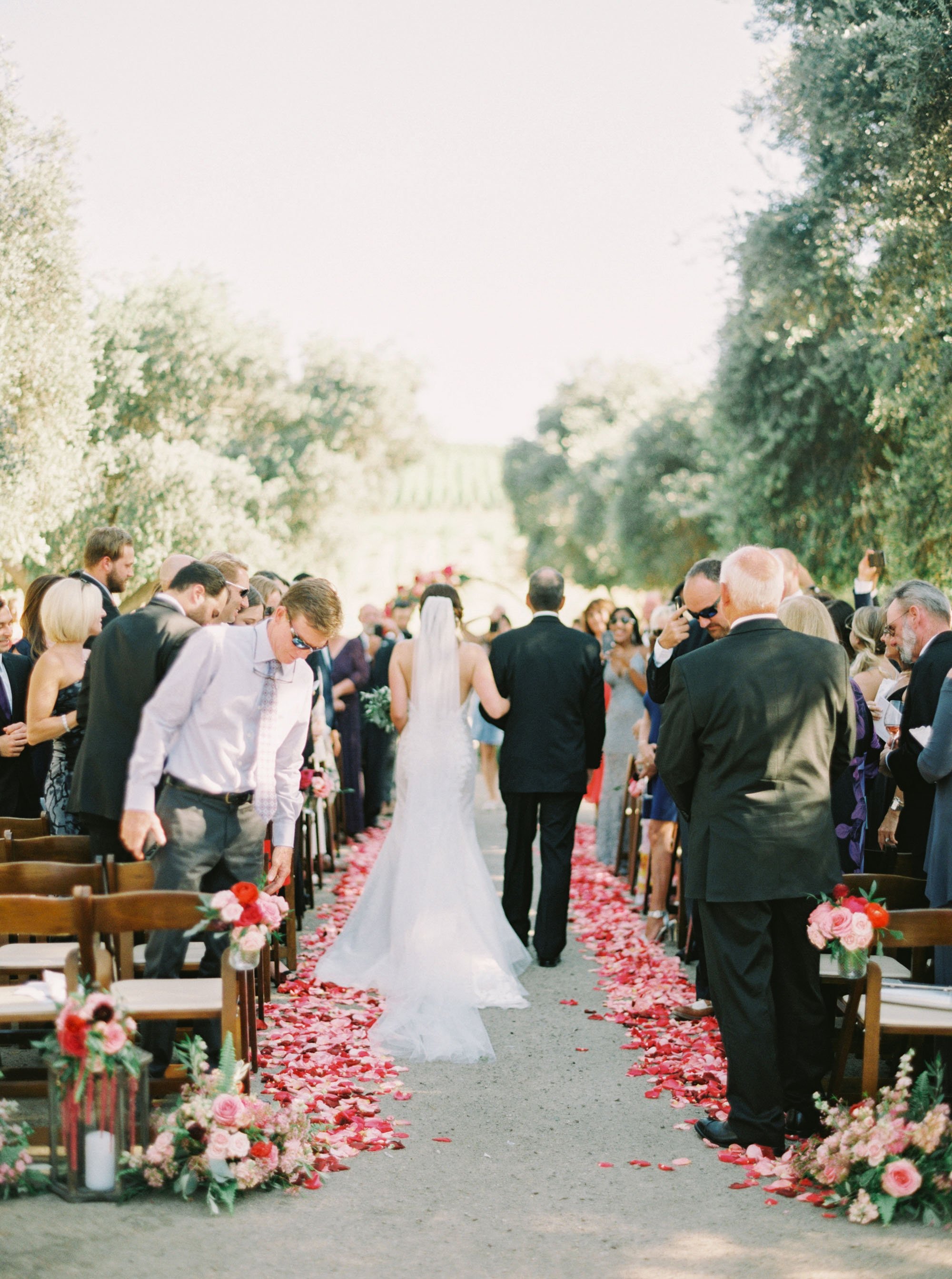 This Love of Yours Photography Olive Grove Wente Wedding 