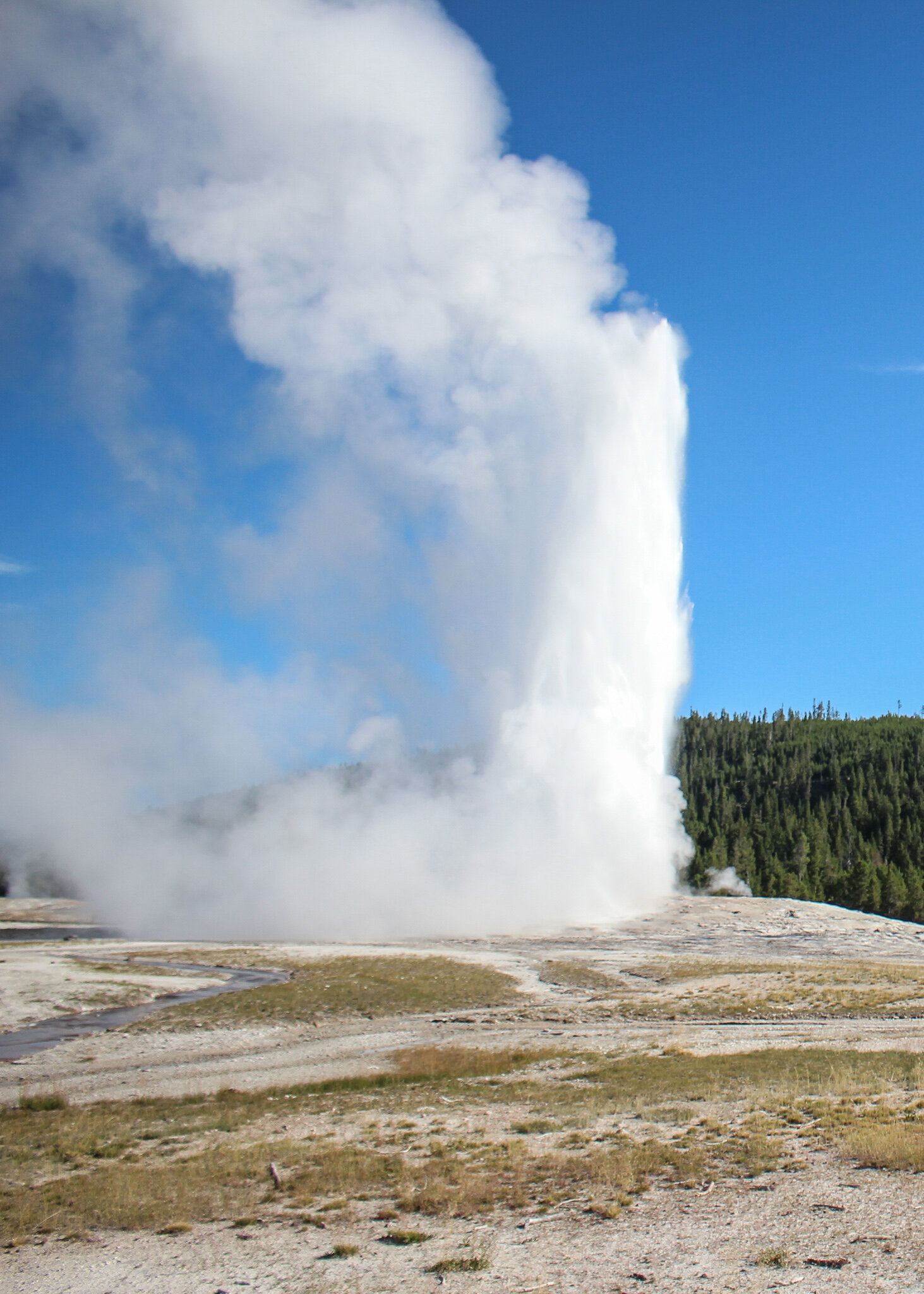 We were able to see Old Faithful and Grand Prismatic on the same day during our National Parks Vacation! 