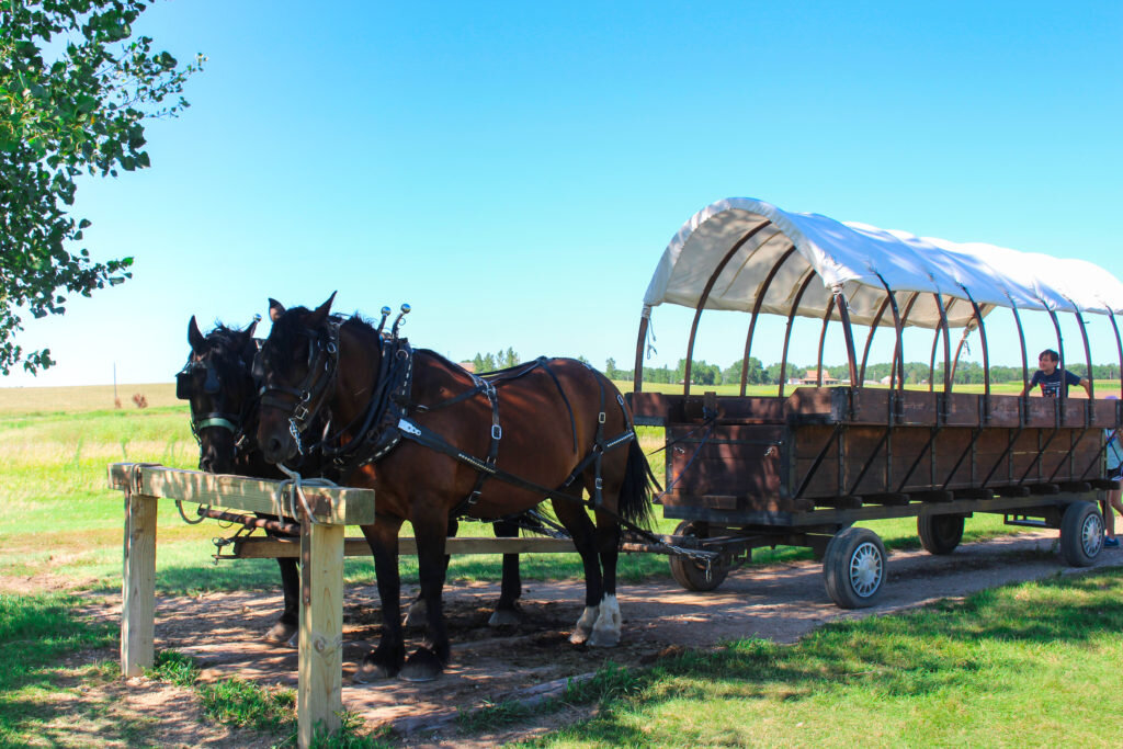 Our stay at the Ingalls Homestead in a covered wagon was nothing short of amazing!