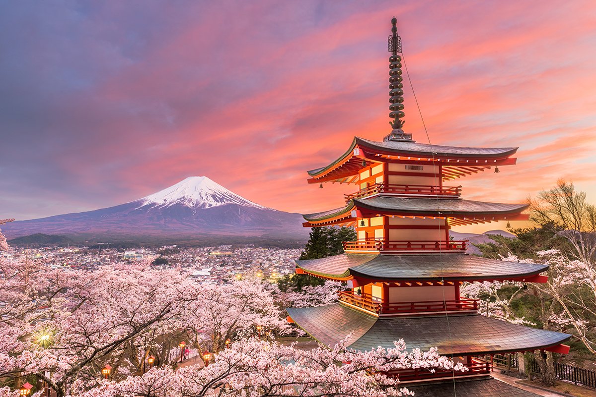 Spring 2024 Japan Discovery Deluxe Tour - Tokyo/Kyoto — Travel Japan with  Amnet