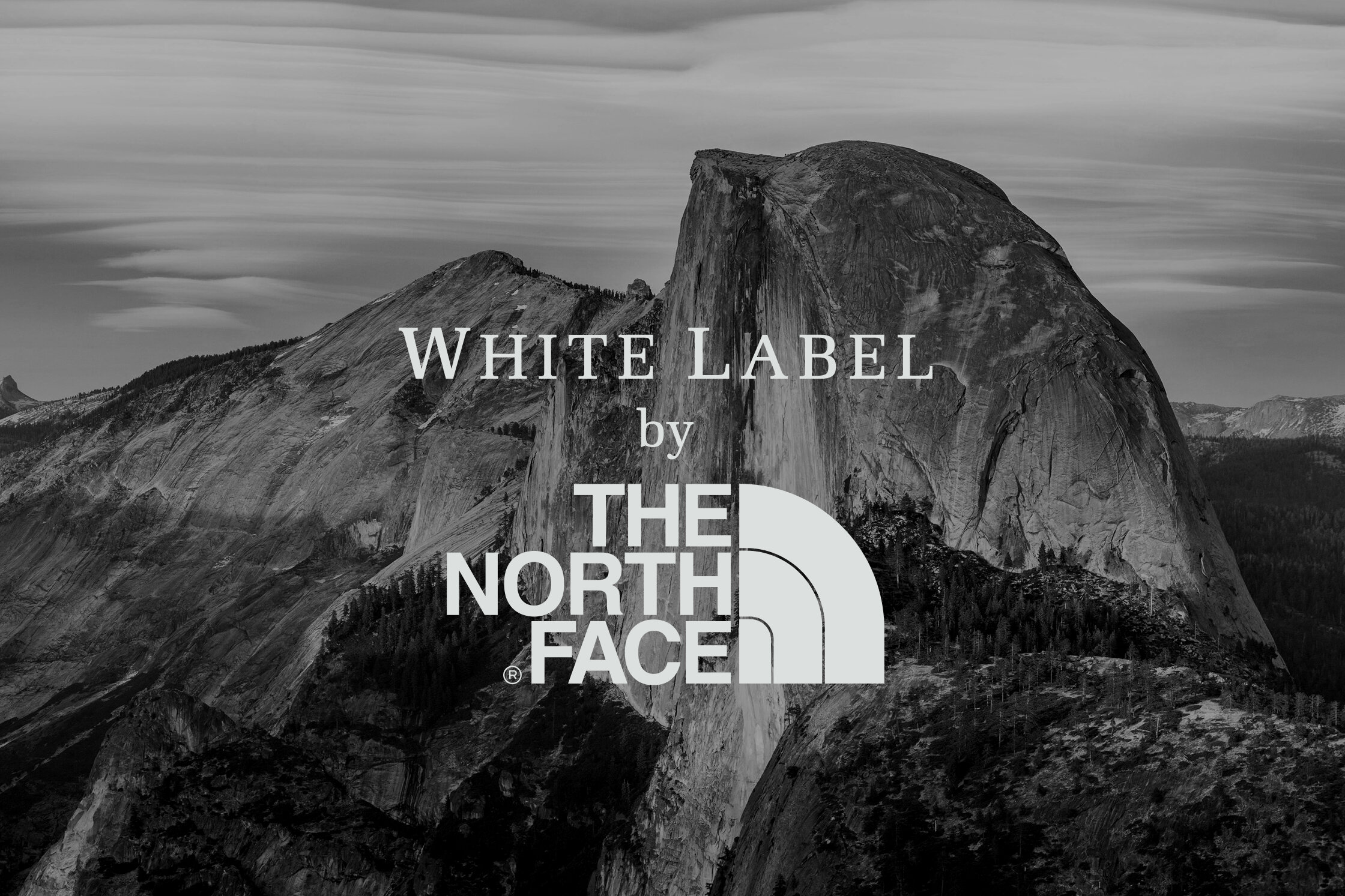 North Face White Label — Kim.normal