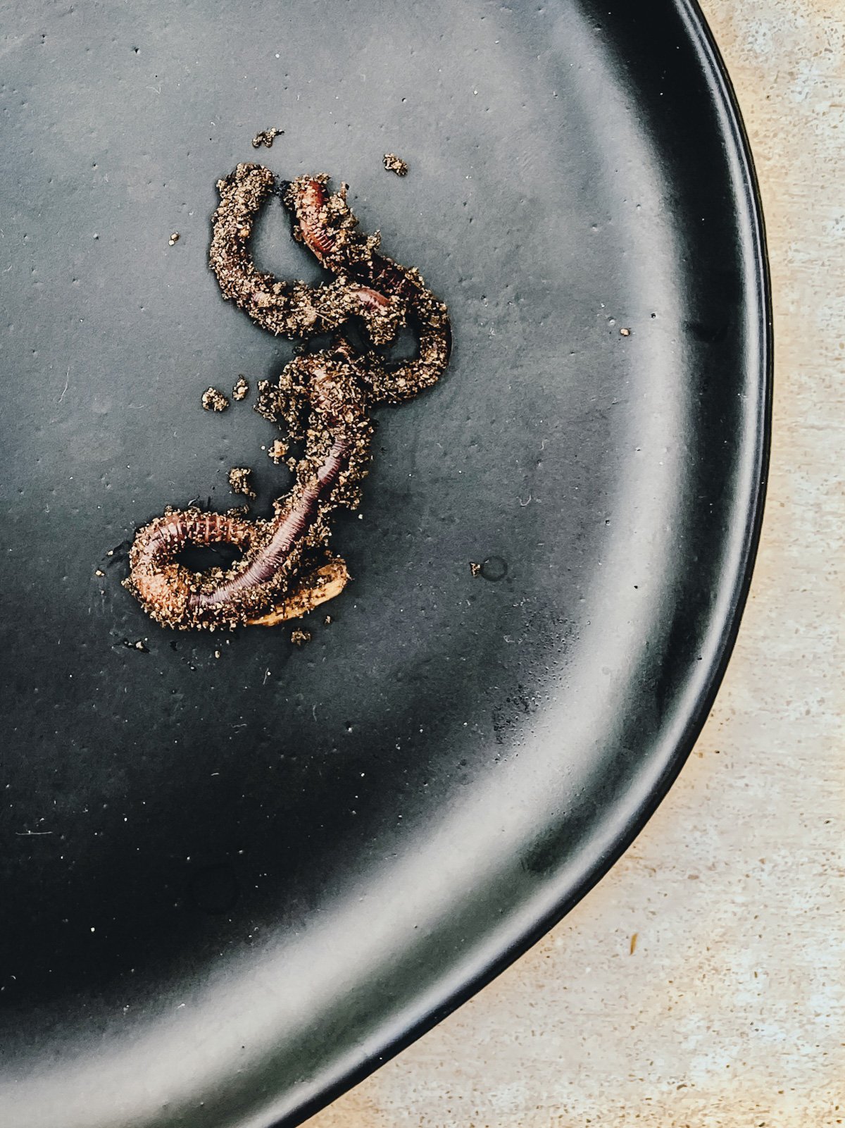 European Nightcrawlers: Benefits of Earthworms in the Garden — The