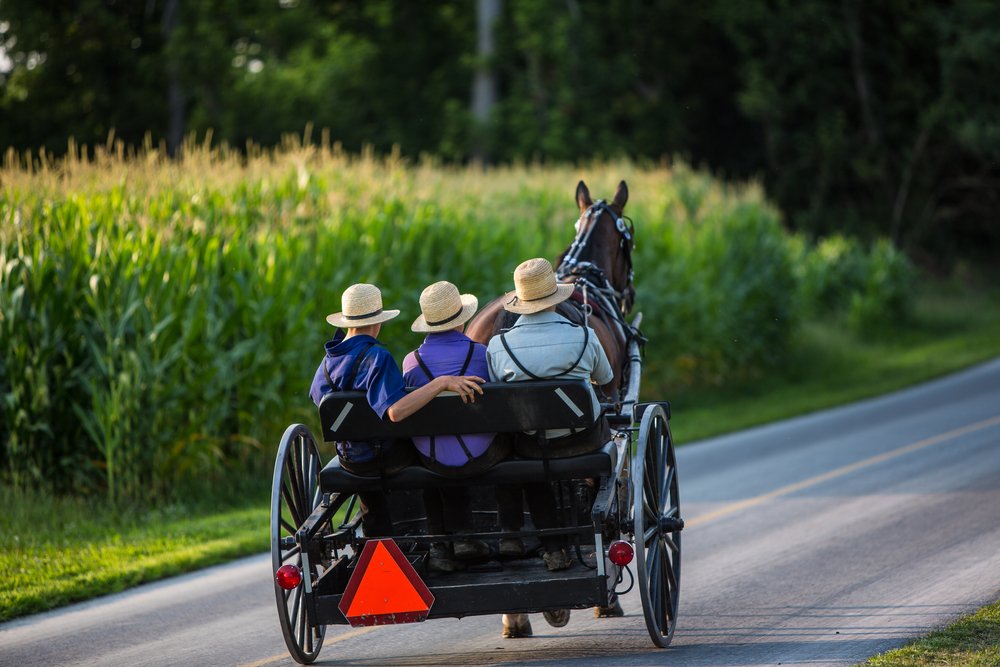 There's much more to do in Lanesboro than ride the Root River Trail. For example, you can enjoy a tour of the area's beautiful Amish Countryside, pictured here. 