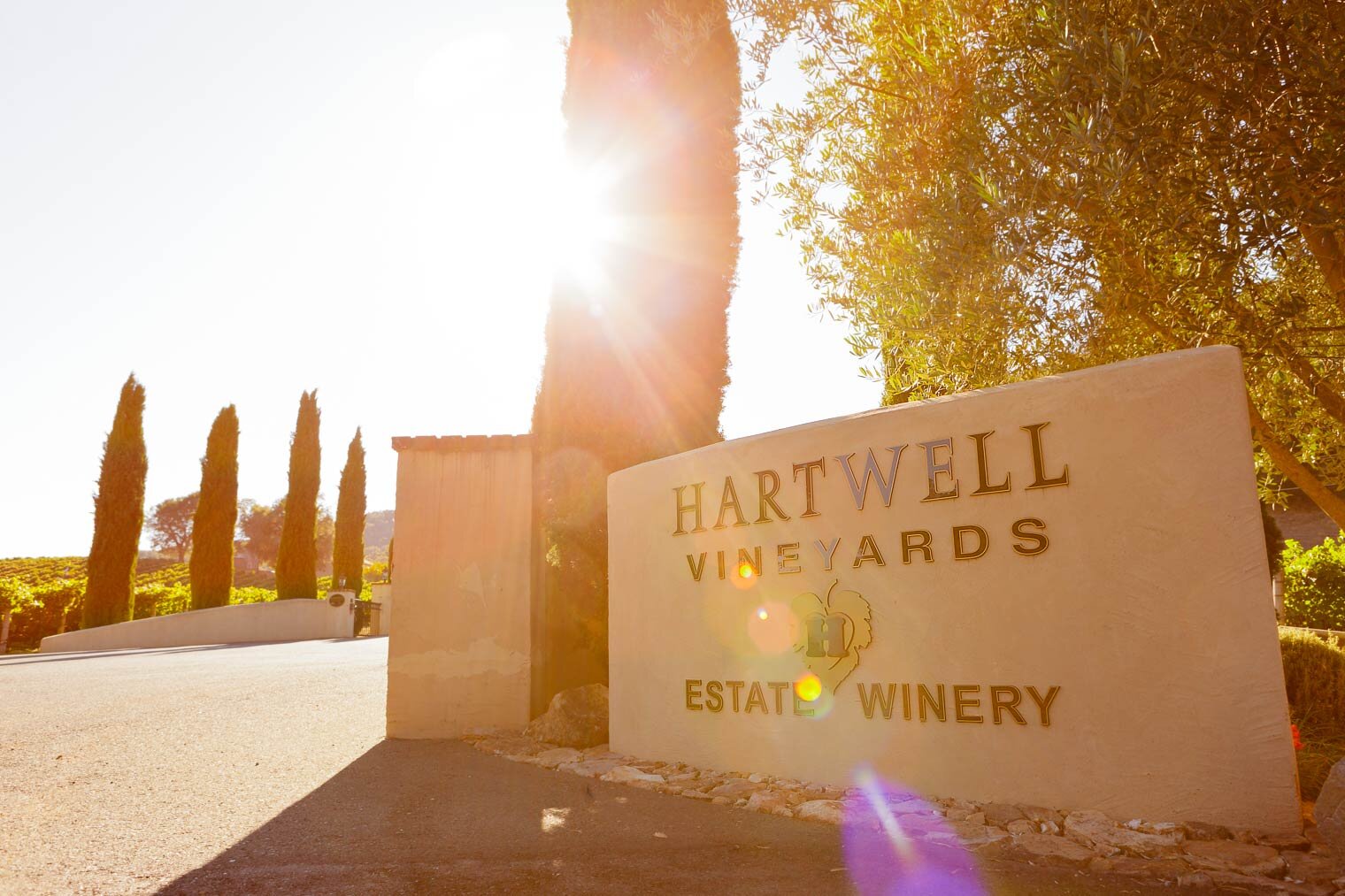001-hartwell-vineyard-estate-winery-engagement-photography-wedding-photo-journalism