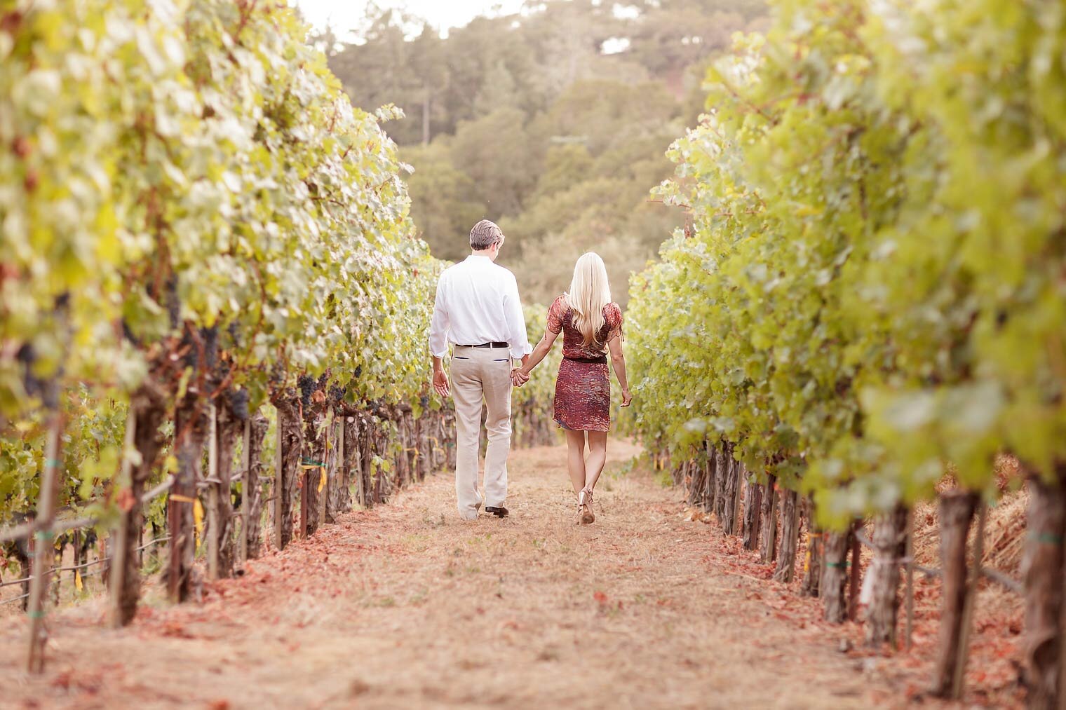006-hartwell-vineyard-estate-winery-engagement-photography-wedding-photo-journalism
