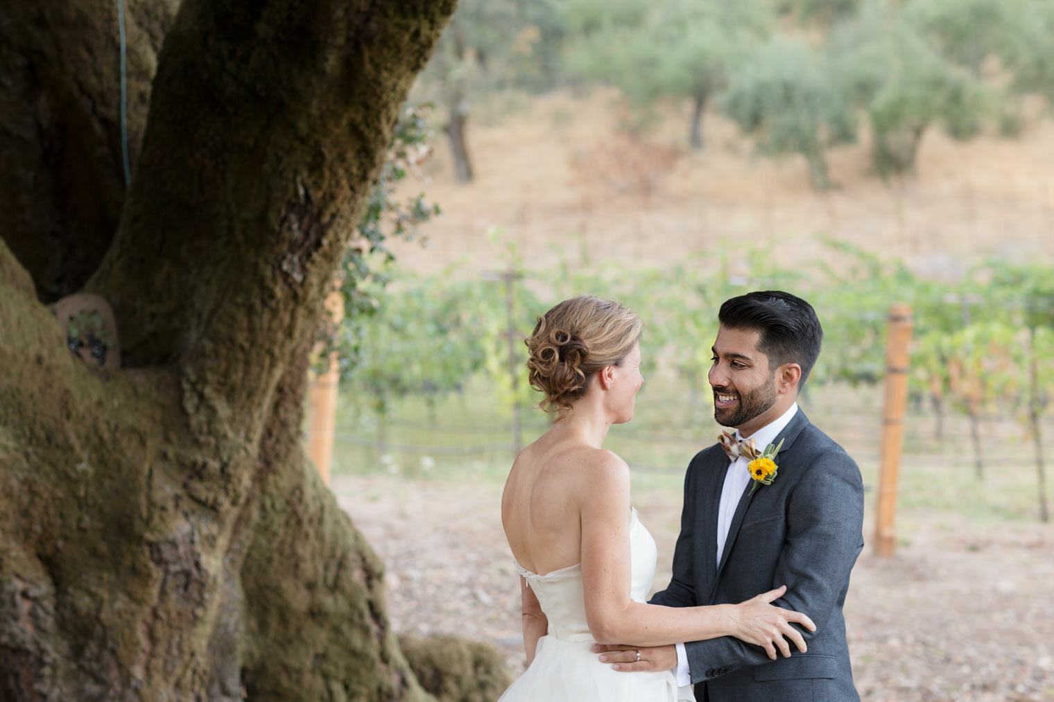 026-tres-sabores-winery-st-helena-wedding-photography