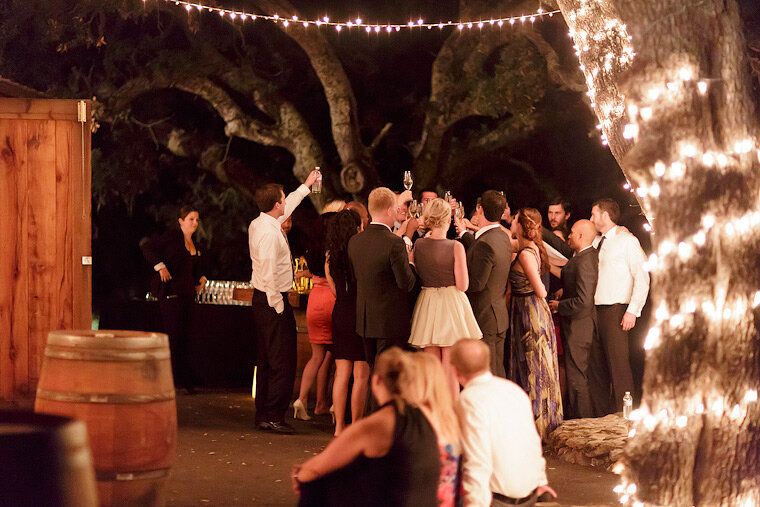 Guests toasting at wedding.