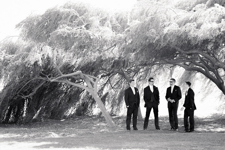 Groomsmen pause under a willow tree.
