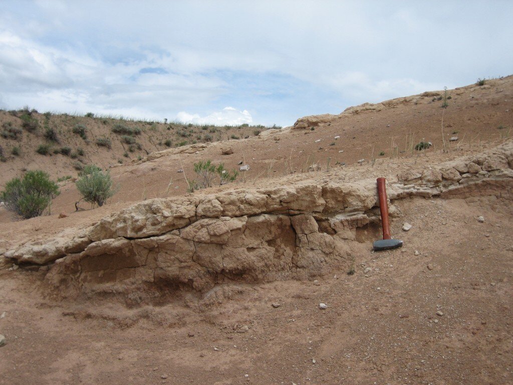 A 19 million year old ash in northern Colorado that has weathered to clay