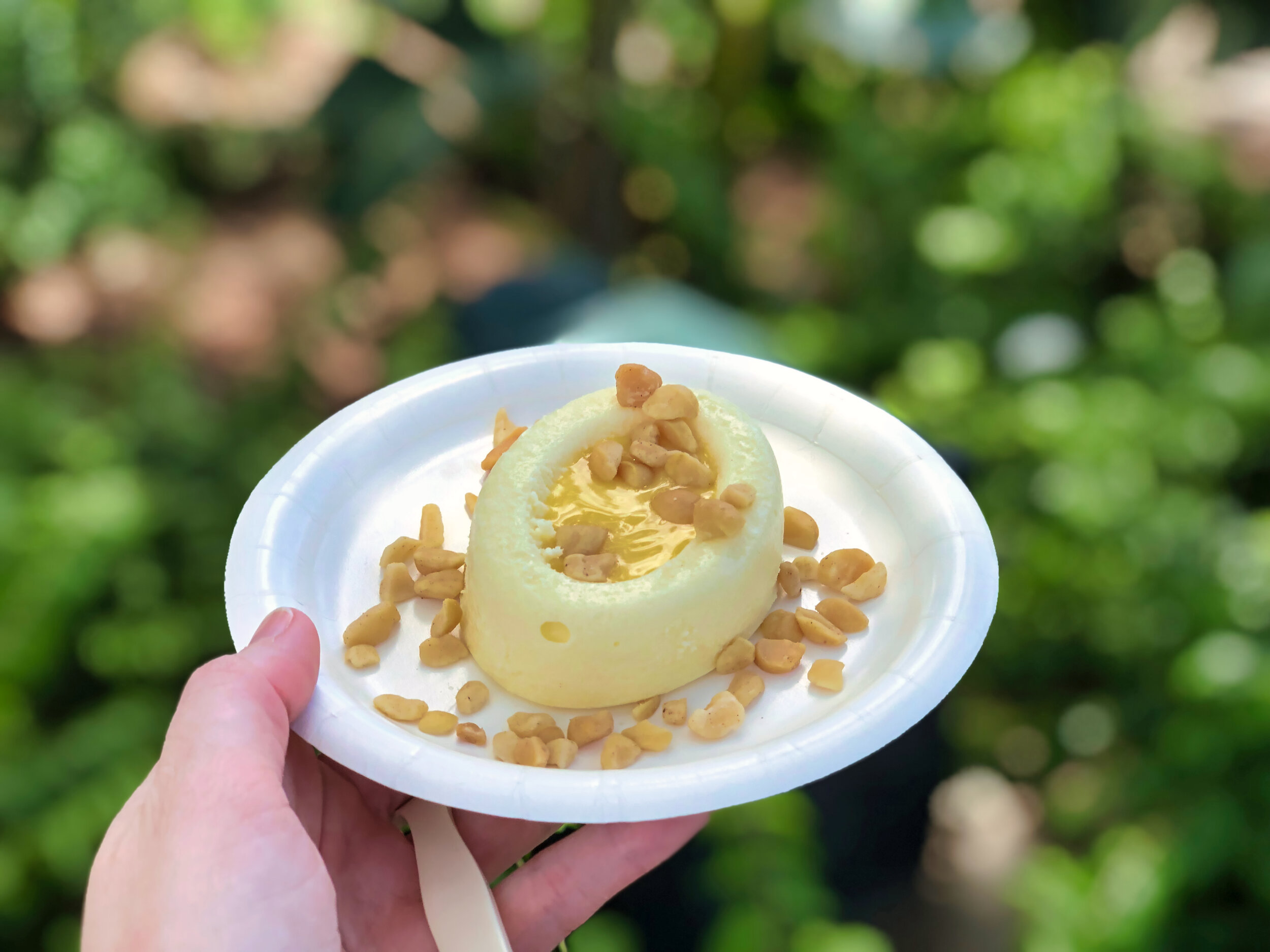 Passion Fruit Cheesecake - 2019 Epcot Food & Wine Festival