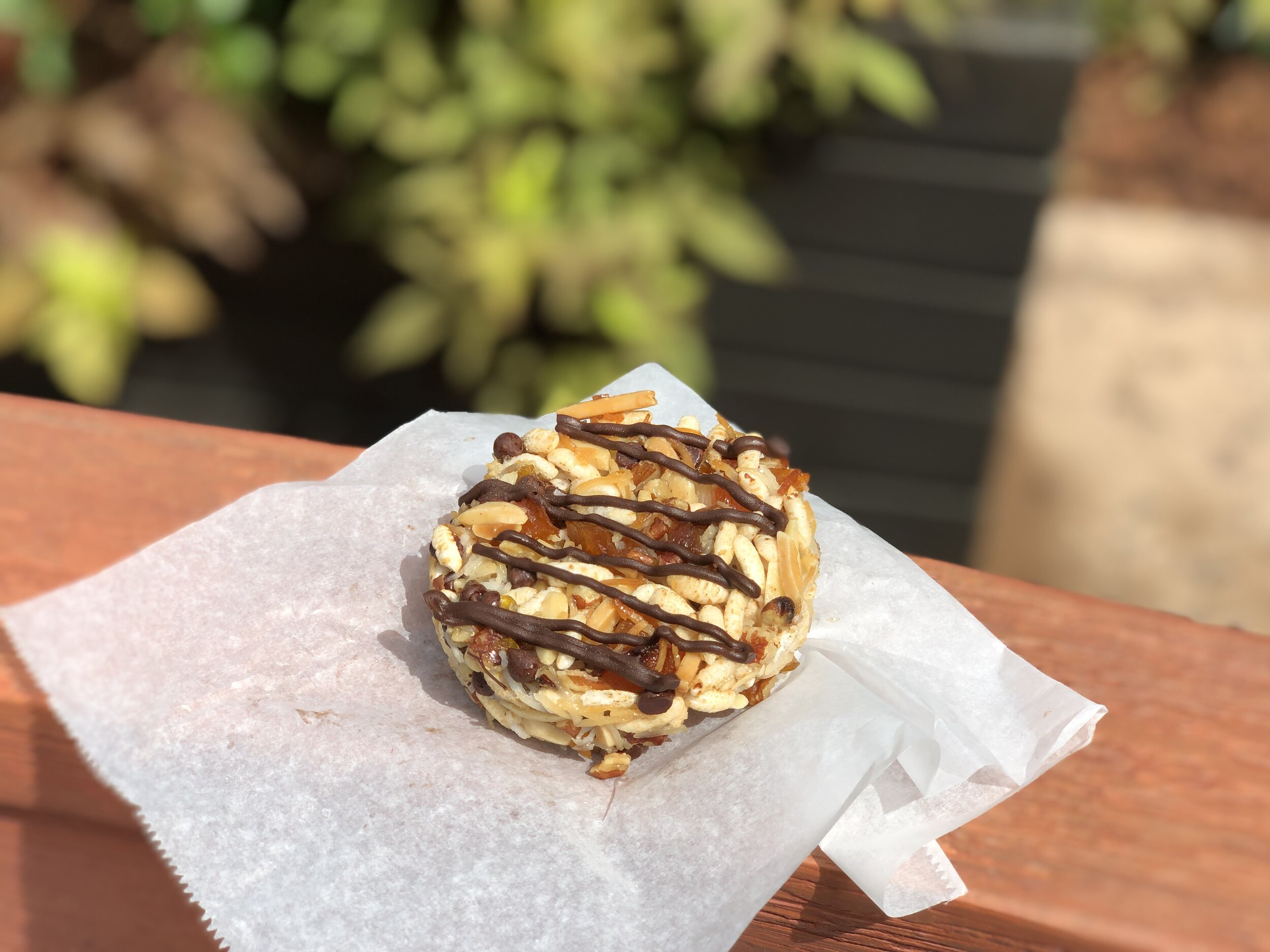 Fruit and Nut Energy Snack - 2019 Epcot Food & Wine Festival