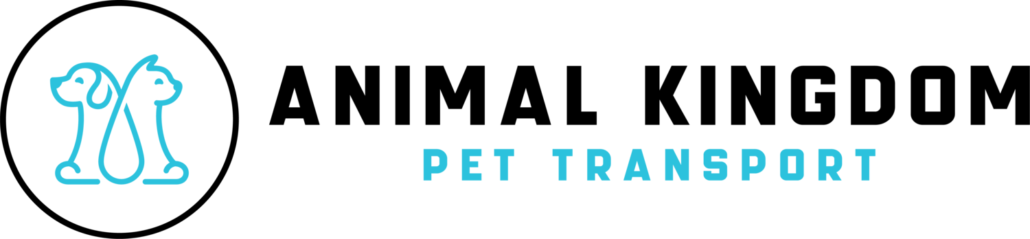Interstate Pet Transport with Care NSW QLD - Animal Kingdom Pet Transport