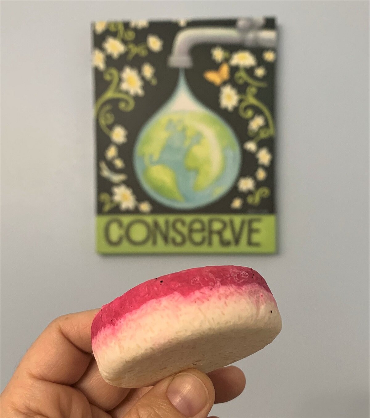 shampoo bar from Lush with artwork in the background that says Conserve