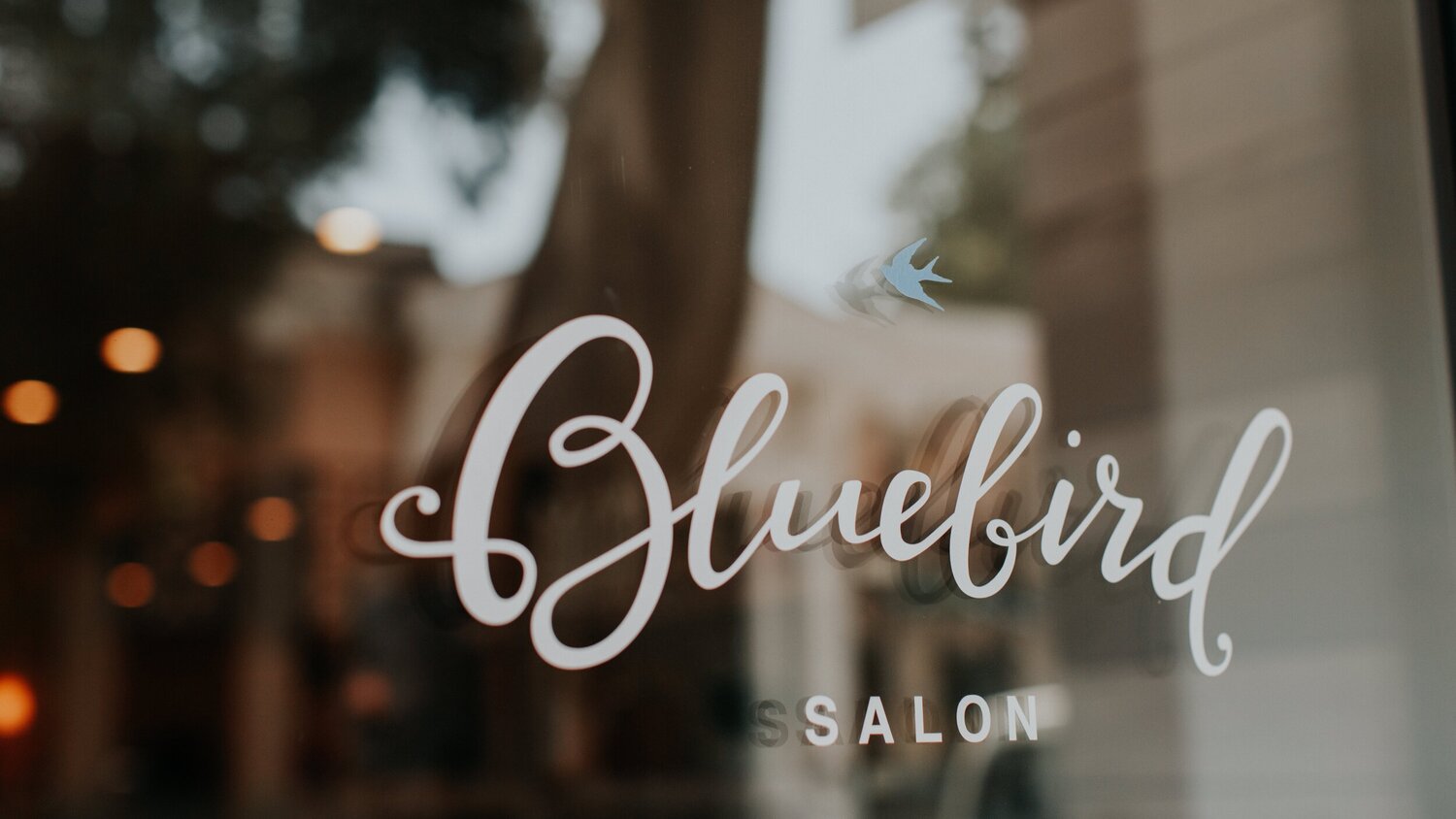 Bluebird Salon - Services — Bluebird Salon