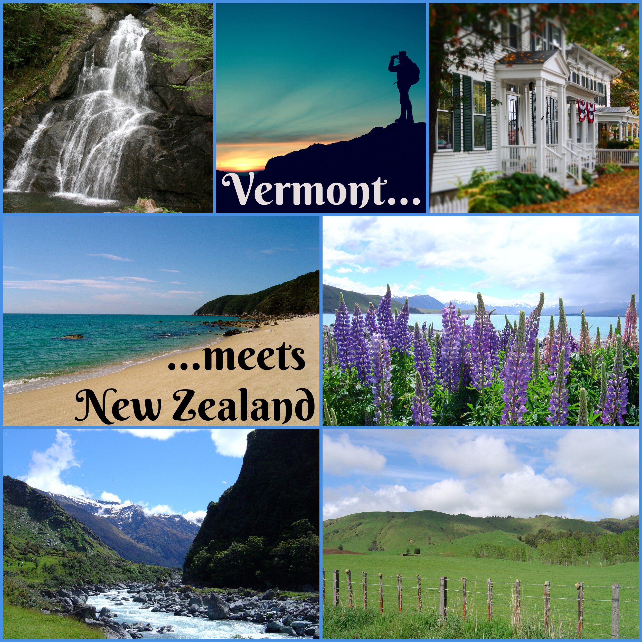 sots vt and nz collage 1