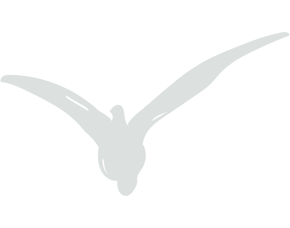 Comfy Sweatshirt Feathers Free Bird