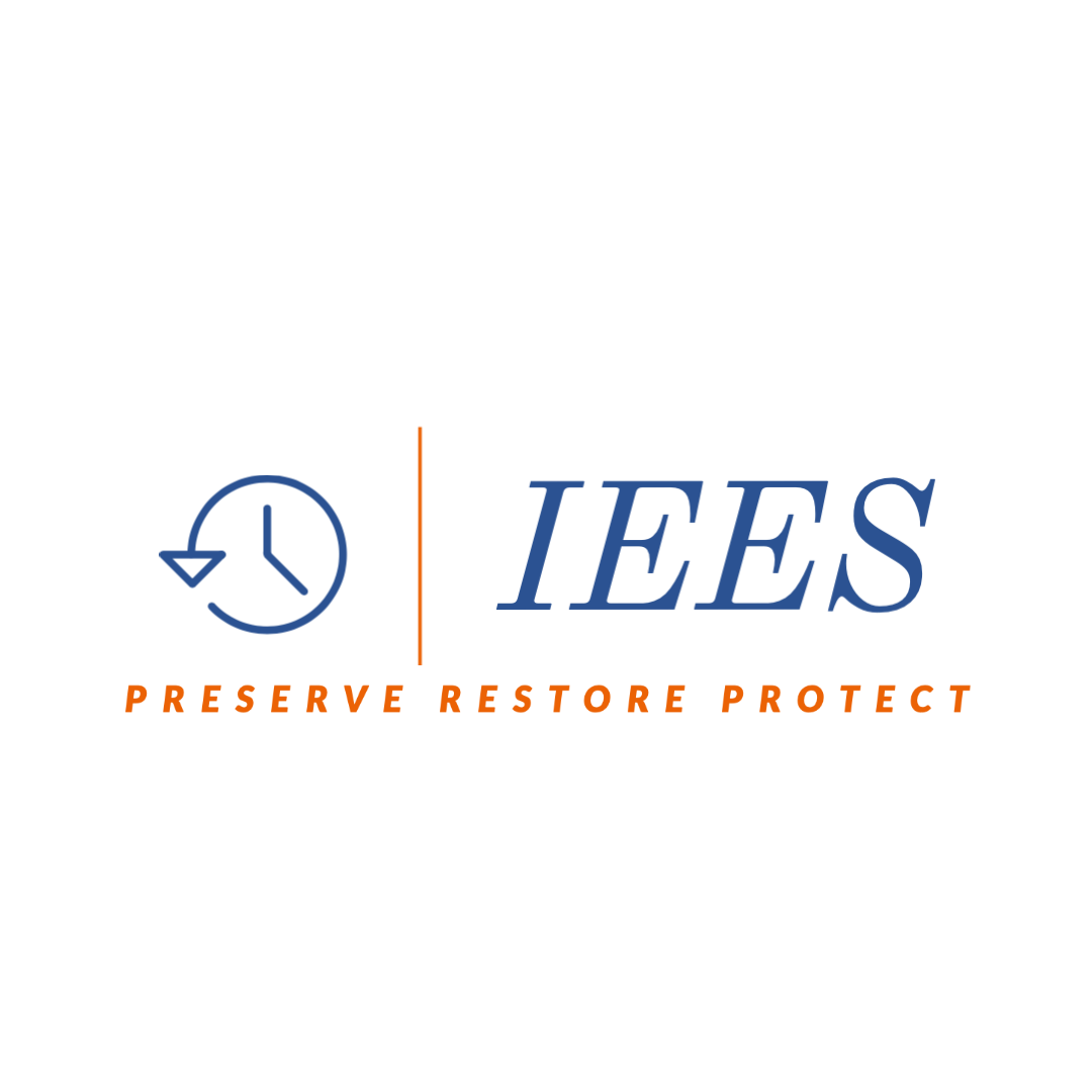 IEES Electrostatic Disinfection
