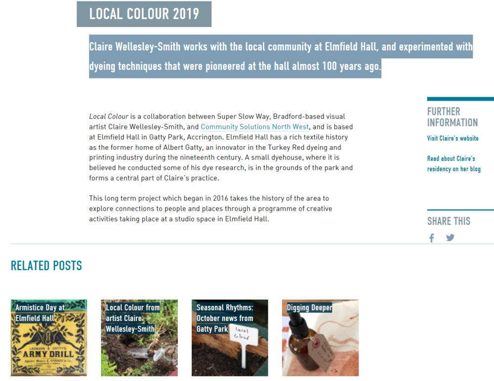 Local Colour landing page on Super Slow Way’s website.