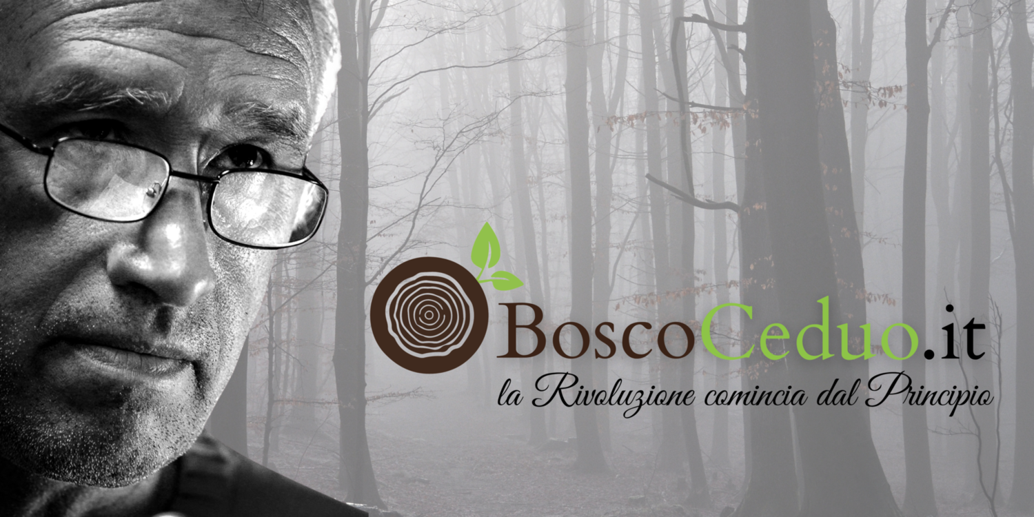 BoscoCeduo.it