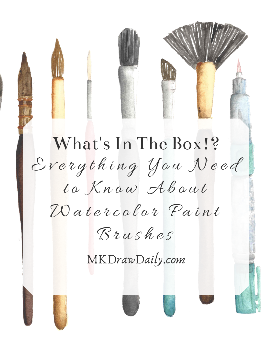 What's in the Box!? What You Need to Know About Watercolor Paint Brushes! —  Draw Daily