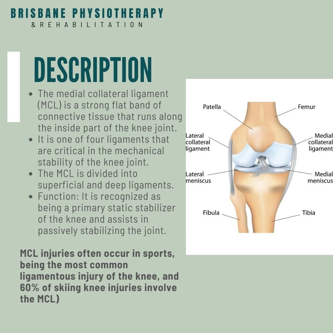 KinectMD - MCL INJURY . . The purpose of the medial collateral ligament is  to prevent the knee from valgus stress (bending inwards). Injuries to the  MCL usually occur as a result