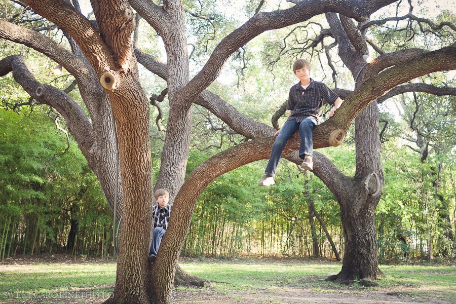 boys climbing tree